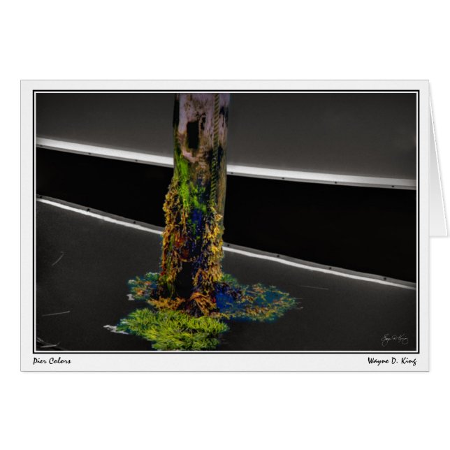 Colores de muelle (Anverso (Horizontal))