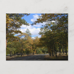 Colores de otoño... Postal
