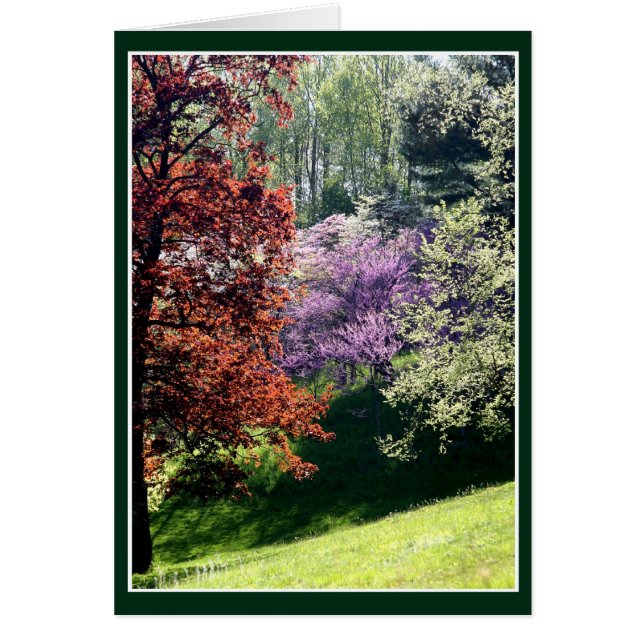 Colores de primavera (Frente)