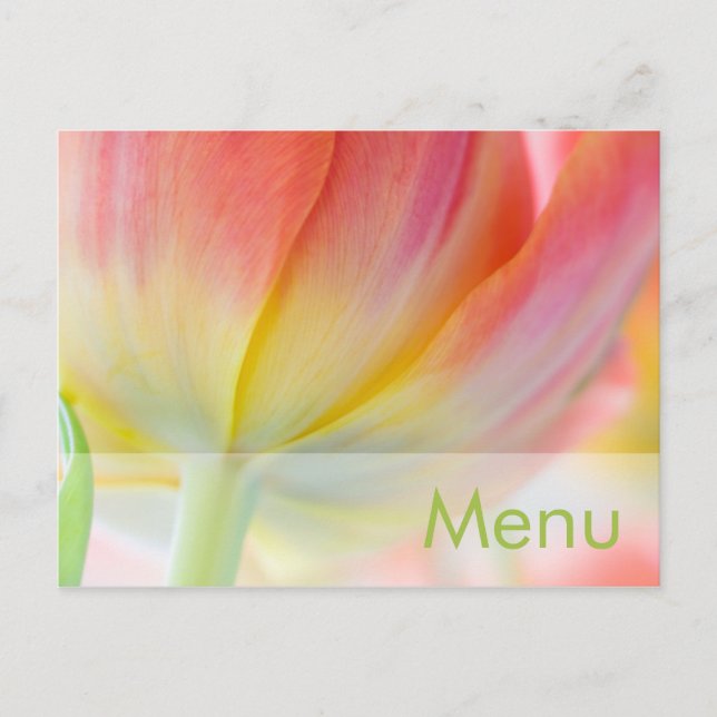Colores de primavera ・ Postales del menú (Anverso)