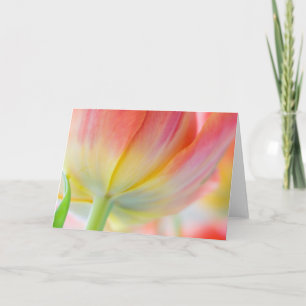 Colores de Primavera - Tarjeta de Felicitación