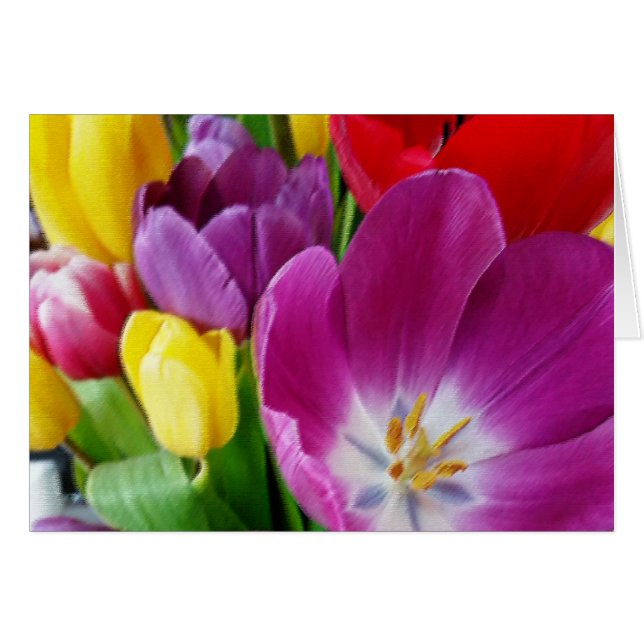 colores de tulipanes (Anverso (Horizontal))