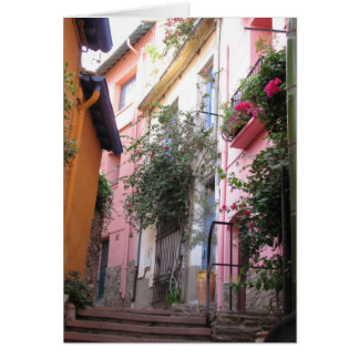 Colores del conflicto