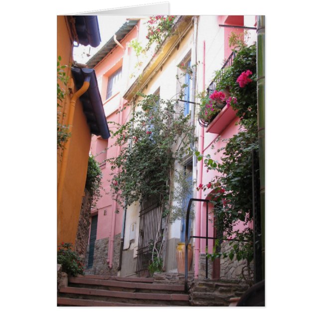 Colores del conflicto (Frente)