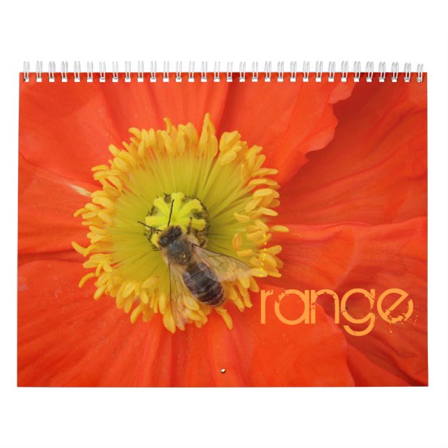 Colores en 2016 - calendario (Tapa)