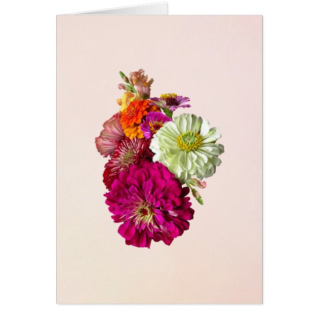 Colores mixtos de Zinnia Bouquet (Frente)