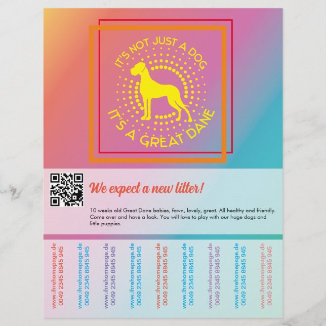 Colores vibrantes vendiendo volante (Frente)