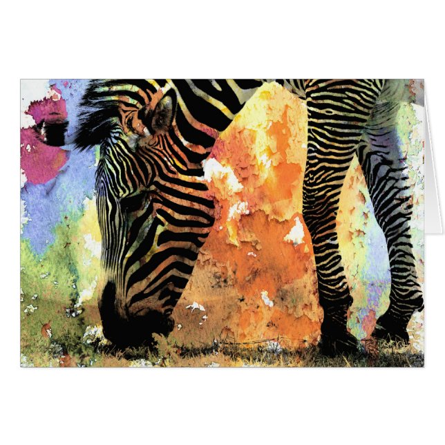 Colorful Zebra Grunge (Anverso (Horizontal))
