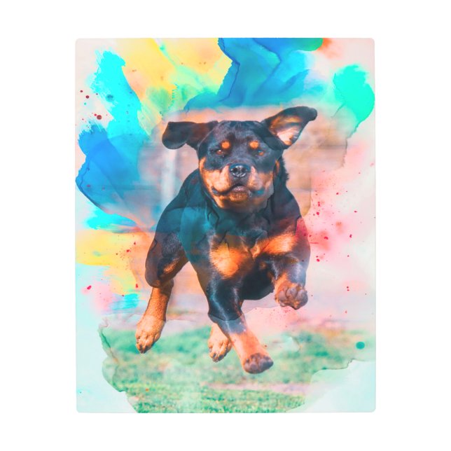 Colorfull Rottweiler | Regalo de decoración Fiesta (Anverso)