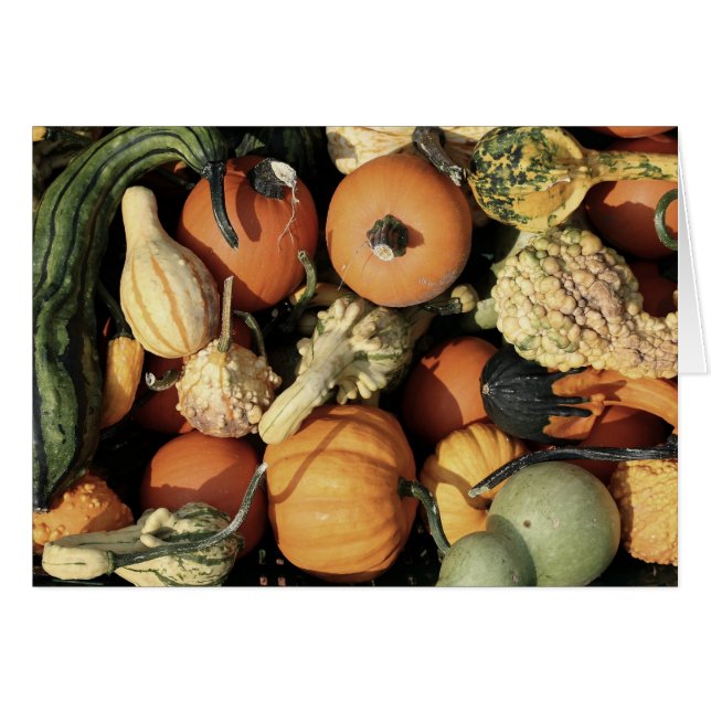 Colorida colección de los dioses del otoño (Anverso (Horizontal))