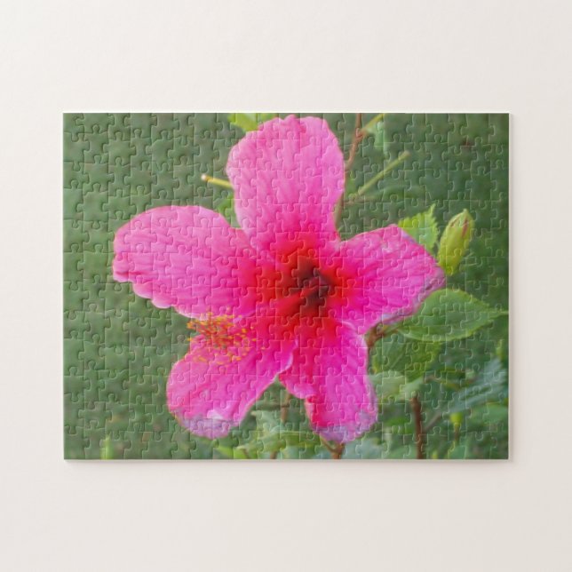 COLORIDA FLORA#6 PUZZLE (Horizontal)