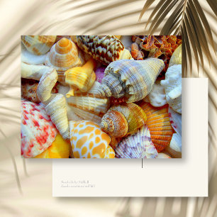 Colorida imagen de la postal de Seashells Blank