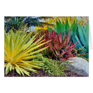 Colorida tarjeta de bienvenida Succulent