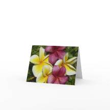 Colorida tarjeta de felicitación plegada Plumerias