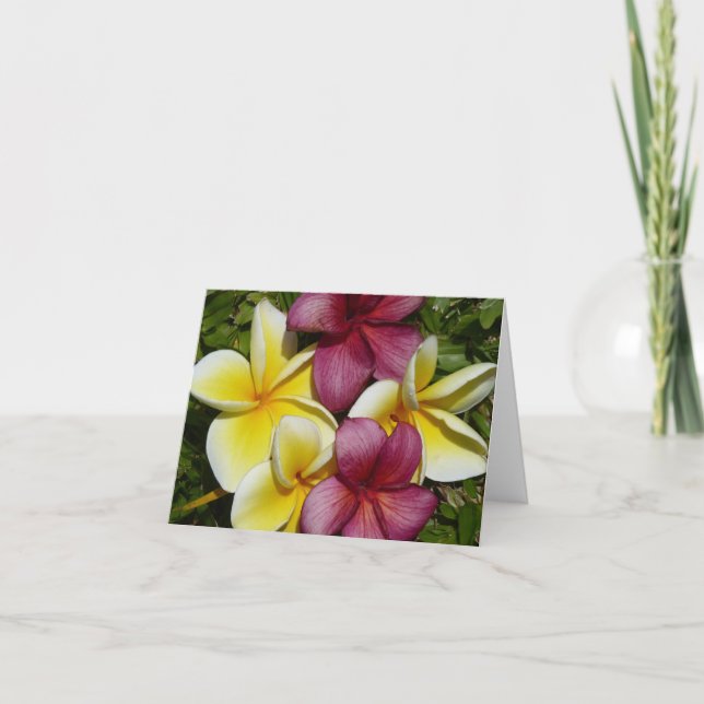 Colorida tarjeta de felicitación plegada Plumerias (Anverso)