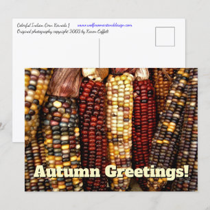 Colorida tarjeta postal de fotos de Kernels de maí