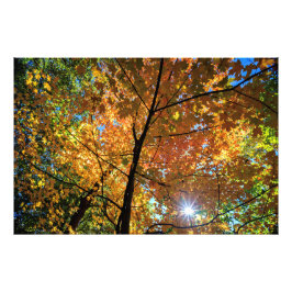 Colorida vista de Otoño de Central Park Foto impre