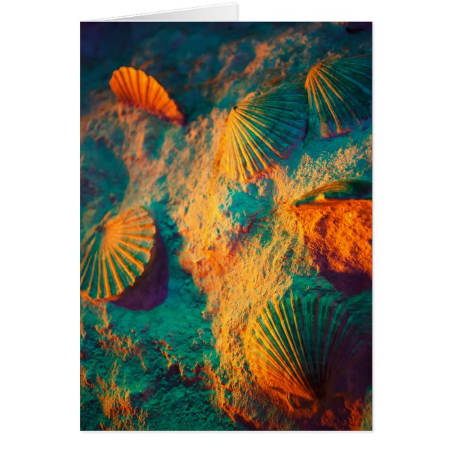 Coloridas conchas y arena en la playa (Frente)