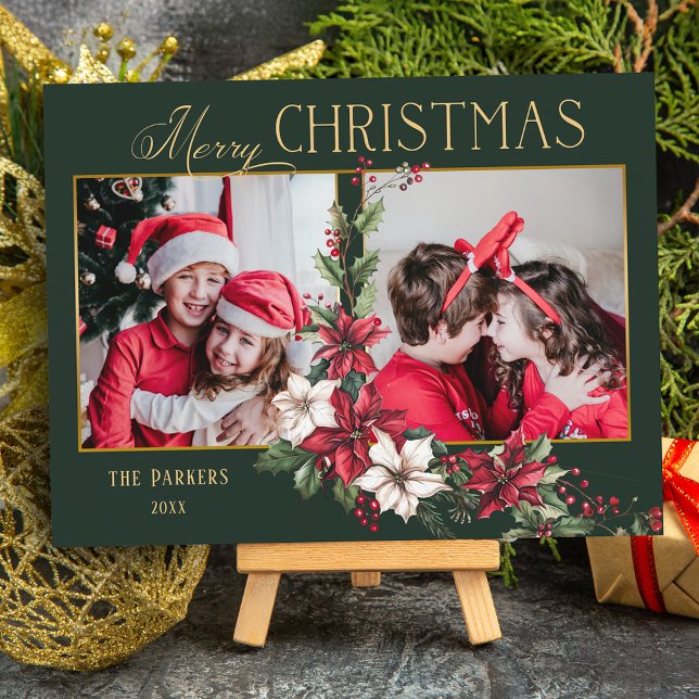Coloridas fotos de dos fotos de Feliz Navidad Poin (Subido por el creador)