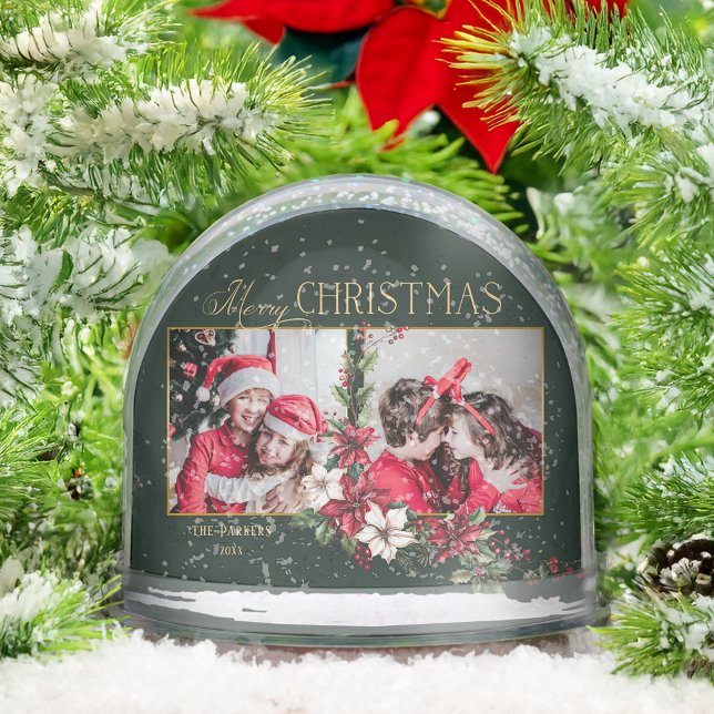 Coloridas fotos de dos fotos de Feliz Navidad Poin (Subido por el creador)