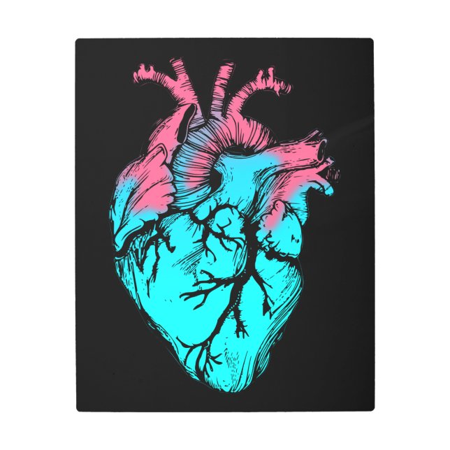 colorido arte de ilustracion de anatomía cardíaca  (Anverso)