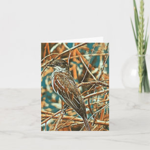 Colorido Kingbird oriental - Tarjeta en blanco