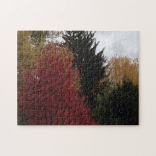 Coloridos árboles otoñales Gray Sky Puzzles