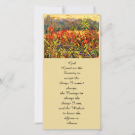 Coloridos Asters y Sumac Reds and Blues de otoño