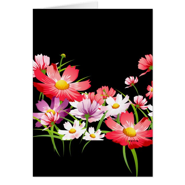 Coloridos lapiceros (Frente)