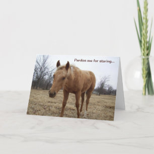 Colt curioso - Tarjeta de cumpleaños