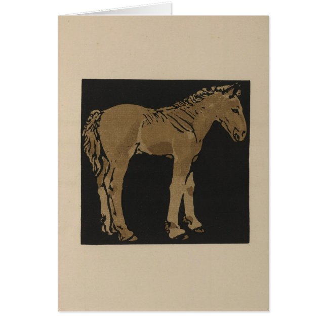 Colt de pie (Frente)