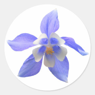 Columbina 158 ~ pegatina