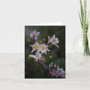 Columbine florece la tarjeta de nota