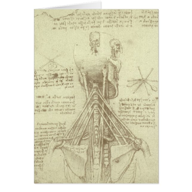 Columna espinal de anatomía humana de Leonardo da  (Frente)