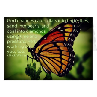 Columnas de las mariposas