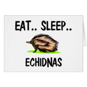 Coma los ECHIDNAS del sueño
