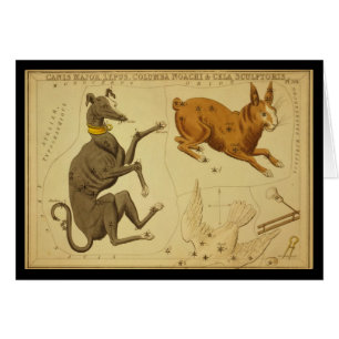Comandante de Canis, Lepus, Columba Noachi Cela