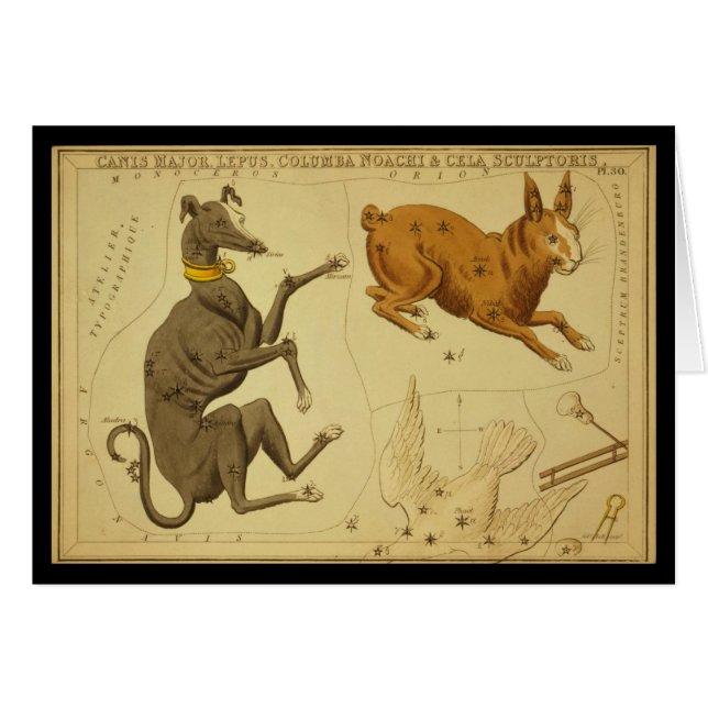 Comandante de Canis, Lepus, Columba Noachi Cela (Anverso (Horizontal))