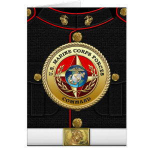 Comando de las Fuerzas del Cuerpo de Marines de lo