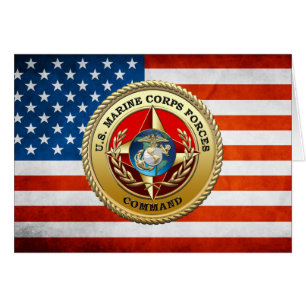 Comando de las Fuerzas del Cuerpo de Marines de lo