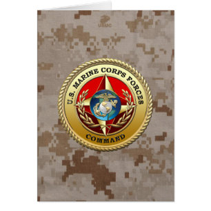 Comando de las Fuerzas del Cuerpo de Marines de lo