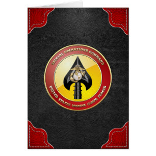 Comando de operaciones especiales del USMC