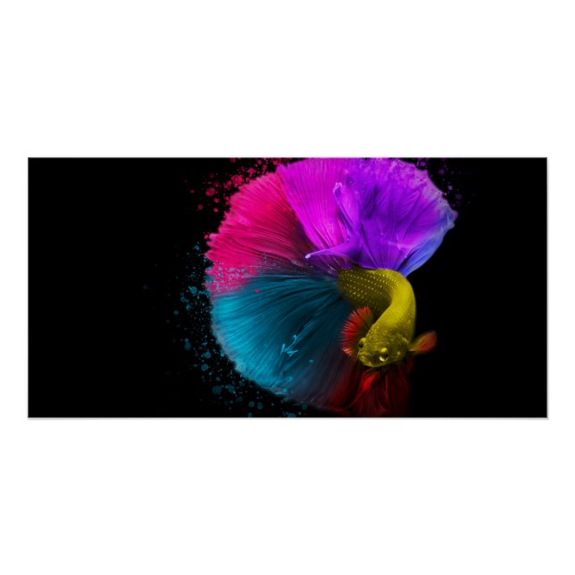 Combat Fish - Poster (Anverso)