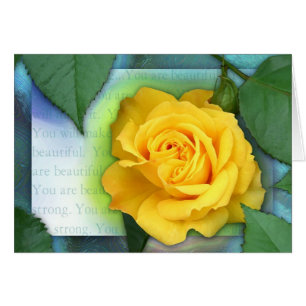 ¡Combatiente fuerte, hermoso!