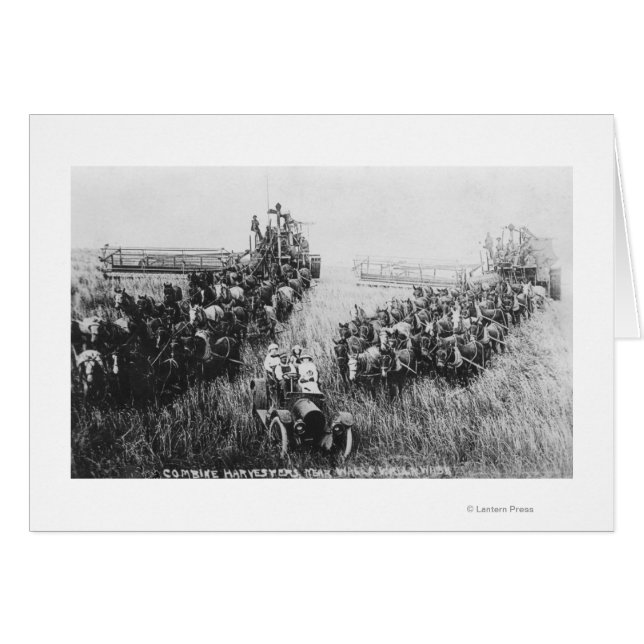 Combinar escena de cosecha (Anverso (Horizontal))