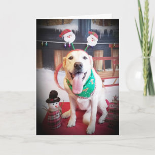 COME BEBIDA Y SEA "FELIZ" ESTE NAVIDAD