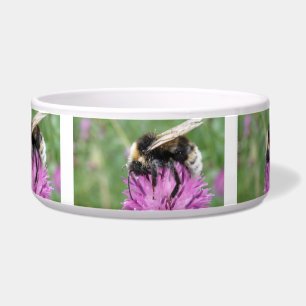 Comedero Abeja de buey en un tazón de perro silbato