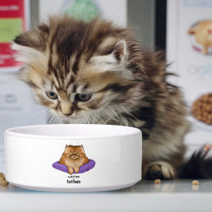 Comedero Actitud Divertida de Gato