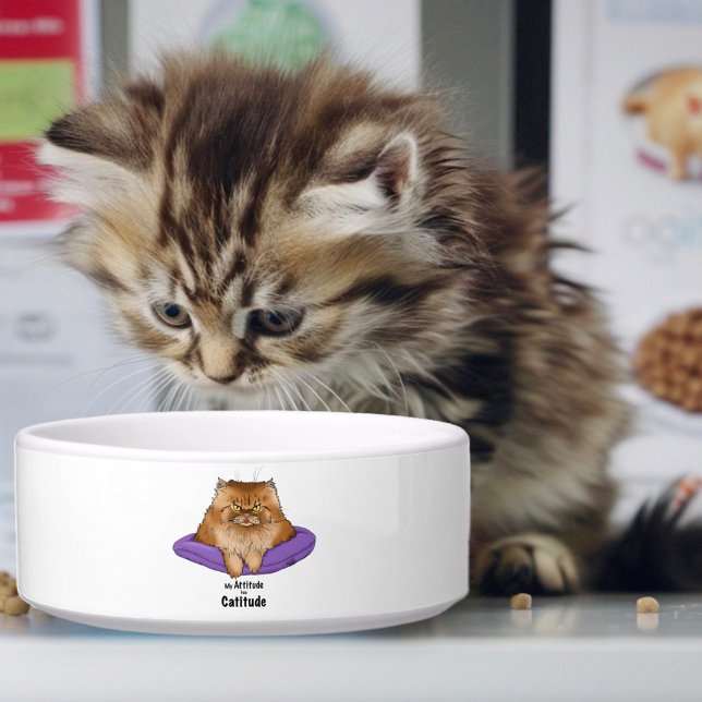 Comedero Actitud Divertida de Gato (Subido por el creador)