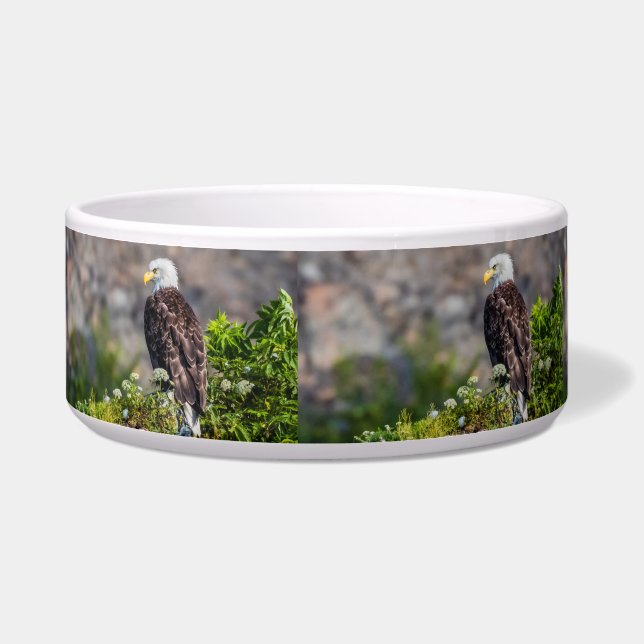 Comedero Águila calva sentada en la roca (Izquierda)